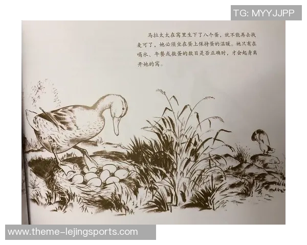 鸭子篮球明星的奇幻旅程与梦想追逐之路